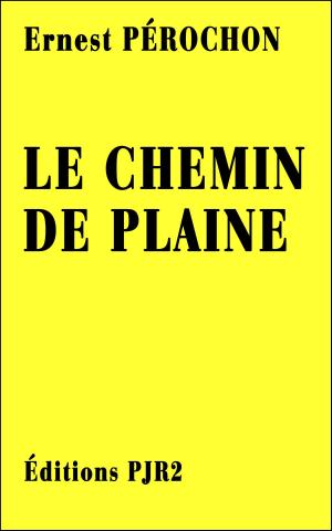 Cover of the book Le chemin de plaine by Rotimi Ogunjobi