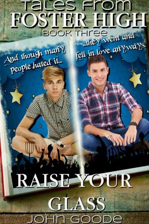 Book cover of Raise Your Glass