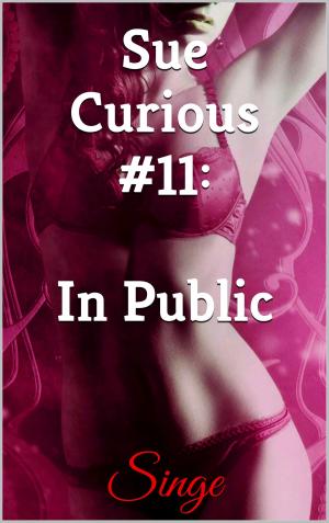 Cover of Sue Curious #11: In Public