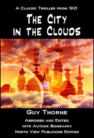 Cover of the book The City in the Clouds by Amanda Martin