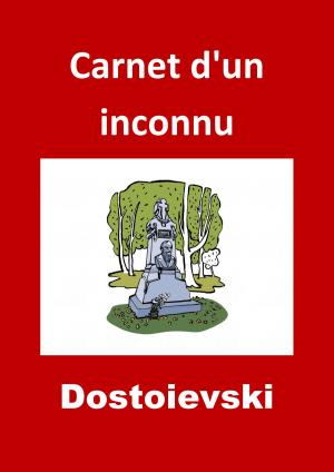 Book cover of Carnet d'un inconnu