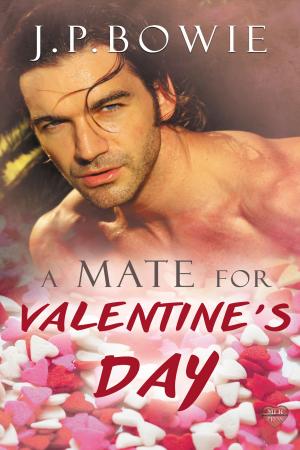 Cover of the book A Mate for Valentine's Day by Alex Ironrod