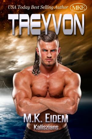 Cover of the book Treyvon by M.K. Eidem