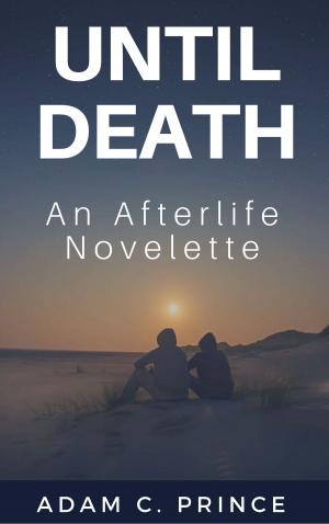Cover of the book Until Death by Michelle Birbeck