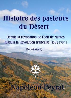 Cover of the book Histoire des pasteurs du Désert by Émile Nourry