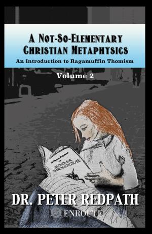Cover of the book A Not-So-Elementary Christian Metaphysics by Frank McGarvey, Jim Flanagan
