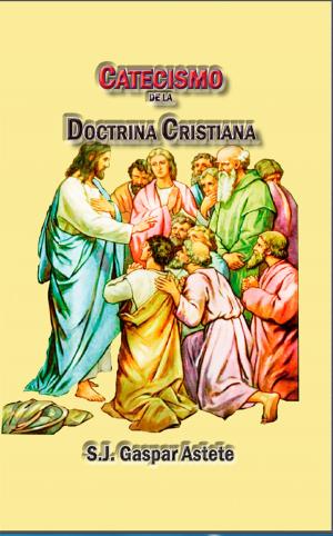 Cover of the book Catecismo de la doctrina cristiana by Michael Hanck