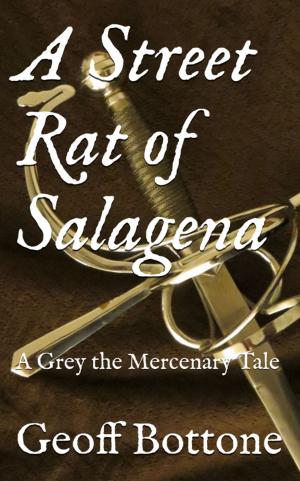 Cover of the book A Street Rat of Salagena by Anne Hope