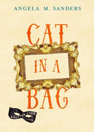 Cover of the book Cat in a Bag by D.B. Barton
