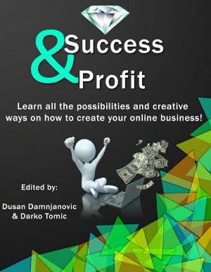 Cover of the book Success & Profit by David Campbell Lester
