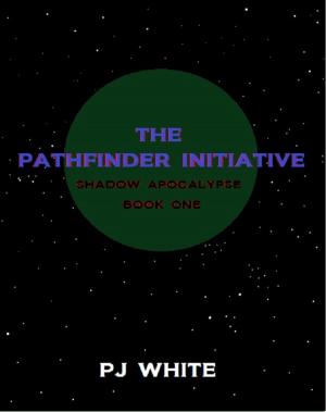 Cover of the book The Pathfinder Initiative by Karen C. Klein