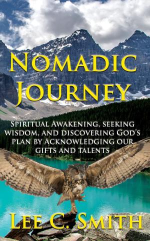 Book cover of Nomadic Journey