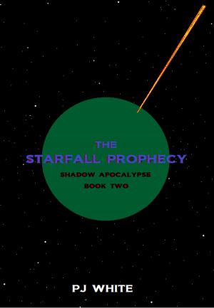 bigCover of the book The Starfall Prophecy by 
