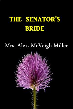 Book cover of The Senator's Bride
