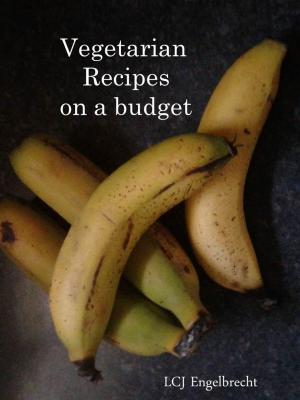 Cover of the book Vegetarian Recipes on a Budget by Laura K Johnson