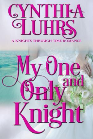 Book cover of My One and Only Knight