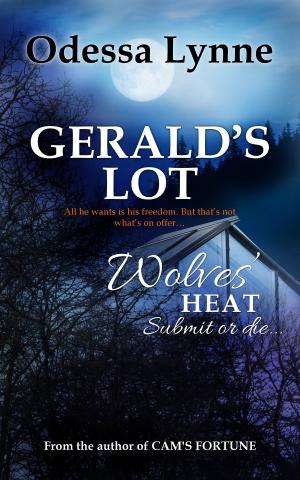 Book cover of Gerald's Lot