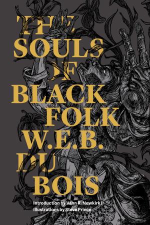 Cover of The Souls of Black Folk