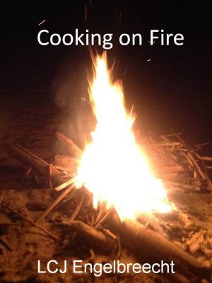 Cover of the book Cooking on fire by Sarah Moore
