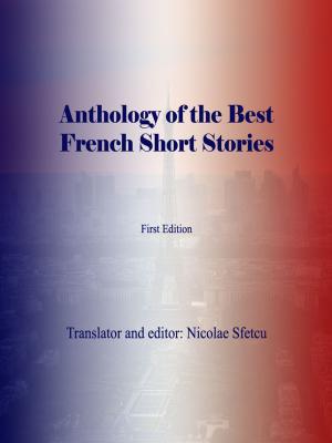 Cover of the book Anthology of the Best French Short Stories by Nicolae Sfetcu