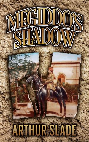 Book cover of Megiddo's Shadow