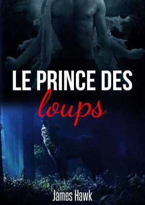 Book cover of Le prince des loups