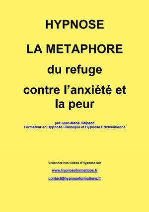 Cover of the book La métaphore du refuge by Jean-Marie Delpech