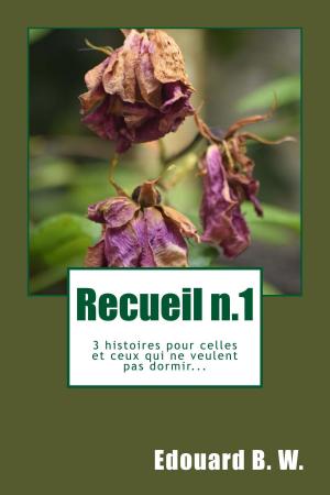 bigCover of the book Recueil n.1 by 