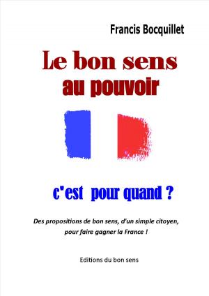 bigCover of the book LE BON SENS AU POUVOIR... C'EST POUR QUAND ? by 