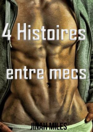 Cover of the book 4 histoires entre mec by Lucie Delcours