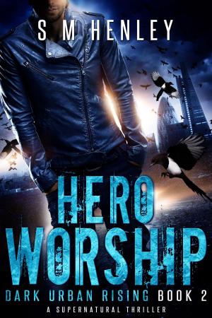 Cover of the book Hero Worship by Liz Matis