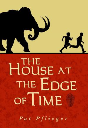 Cover of the book The House at the Edge of Time by Nerine Dorman