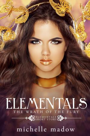 Cover of the book Elementals: The Wrath of the Fury by Kilmeny Reade