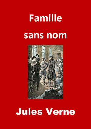 Cover of the book Famille sans nom by Jules Verne