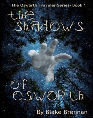 Cover of the book The Shadows of Osworth by Chris Wong Sick Hong