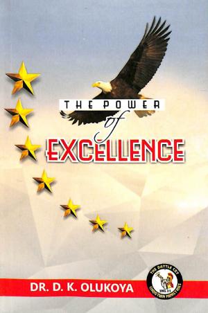 Cover of the book The Power of Excellence by Dr. D. K. Olukoya