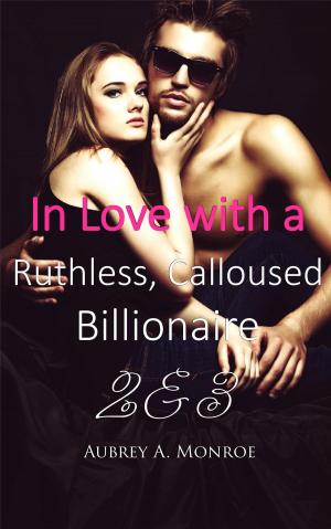 Cover of the book In Love with a Ruthless, Calloused Billionaire 2 & 3 by J.O MANTEL