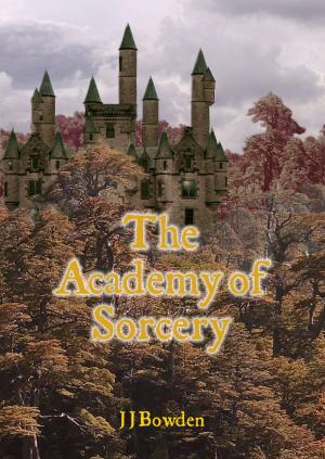 Book cover of The Academy of Sorcery
