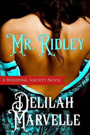 Cover of the book Mr. Ridley by B. D. Anderson