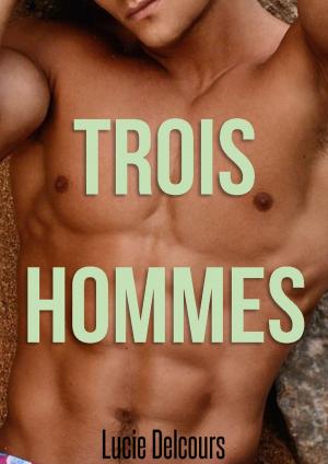 Book cover of Trois hommes