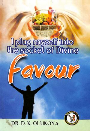 Book cover of I Plug Myself into The Socket of Divine Favour