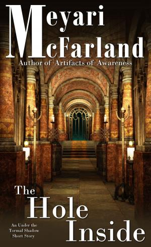 Cover of the book The Hole Inside by Meyari McFarland
