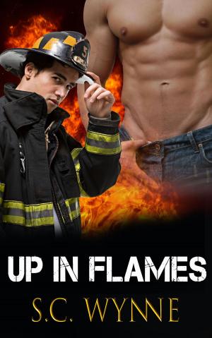 Cover of the book Up In Flames by NE Sully
