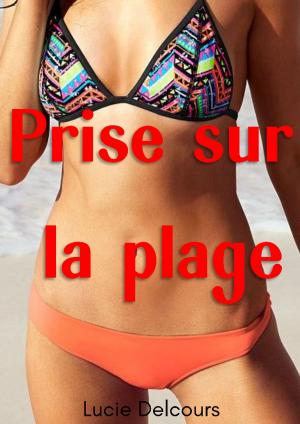 Cover of the book Prise sur la plage by Kristin Billerbeck