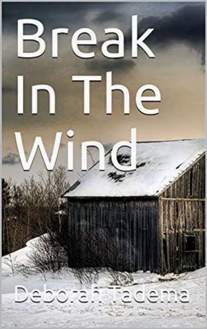 Cover of the book Break In The Wind by Matthew P. Mayo