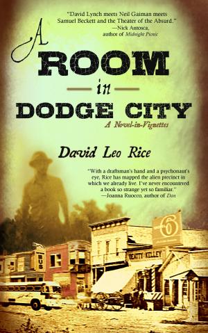 Cover of the book A Room in Dodge City by J.L. V'Tar