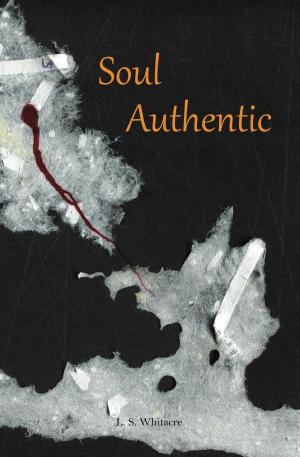 Cover of the book Soul Authentic by Ged Brockie