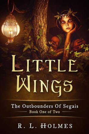 Cover of the book Little Wings by Stephen Coombs