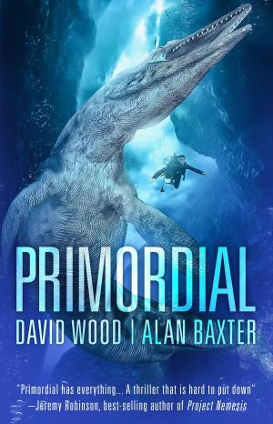 Cover of the book Primordial by David Debord, Ryan A Span
