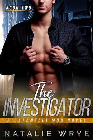 Book cover of The Investigator